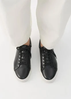 Cody Sneaker