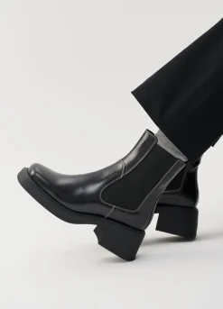 Dorah Stiefel